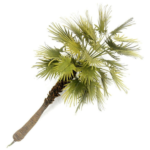 Palme höhe 1 - -,