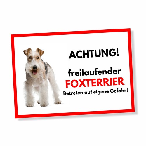 Foxterrier freilaufender - 2,