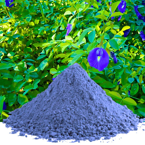Blue butterfly pea - blue,