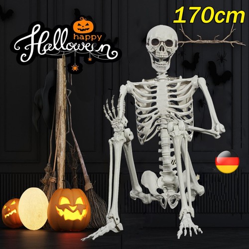 Skelett halloween lebensgroß - halloween,
