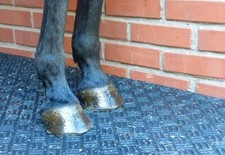 Stallmatten Gummimatten