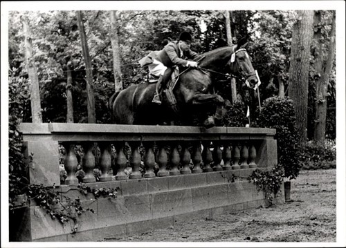 Foto springreiten sprung - springreiten,,