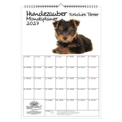 Hundezauber yorkshire terrier - hundezauber,