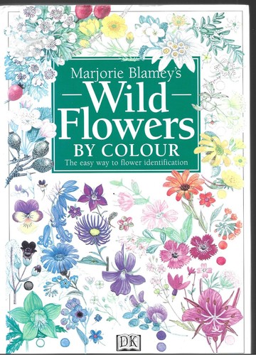 Marjorie blamey wild flowers - blamey's,