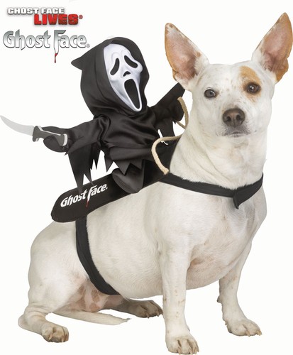 Halloween geist gesicht reiter - halloween,