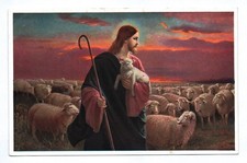 Künstler Ak Jesus Christus mit Schafherde und Kälbchen im Arm