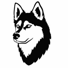 Auto Aufkleber Sticker Siberian Husky Sticker  20 x 12 cm PKW viele Farben