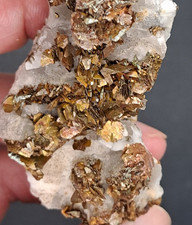 TOP Markasit XX auf Matrix, restauriert, ca 7x3cm, Pyrit, Kupferkies