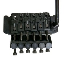 Floyd Rose lizenzierter Double