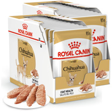 Royal Canin Adult Chihuahua