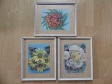DDR 3x Wandbild, Blumen, gut