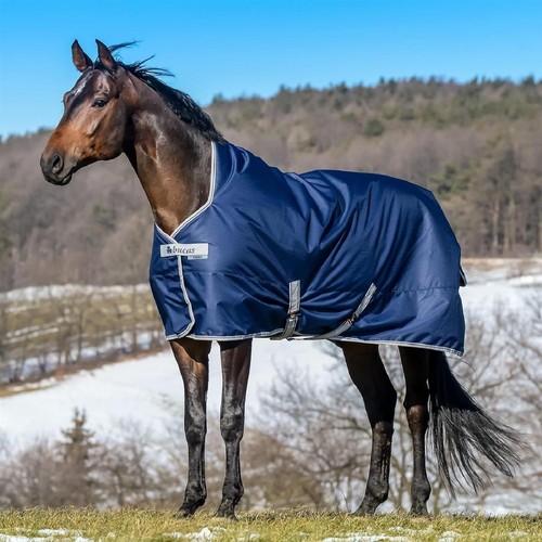 Bucas freedom turnout light - freedom,
