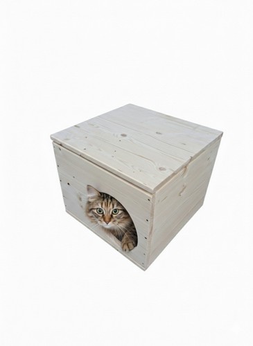 Wurfbox für katzen - für,