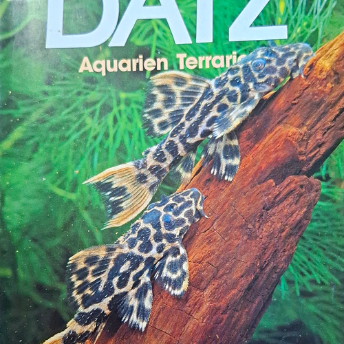 Datz zeitschrift aquarien - zeitschrift, &