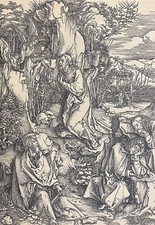 Albrecht Durer 1471-1528