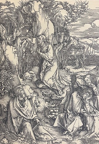 Albrecht durer 1471 - albrecht,