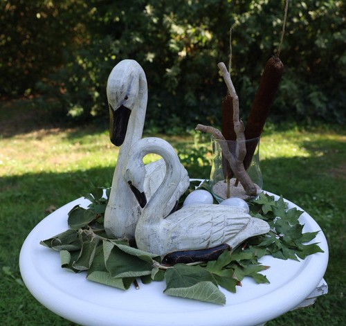 Schwanen pärchen - schwanen,