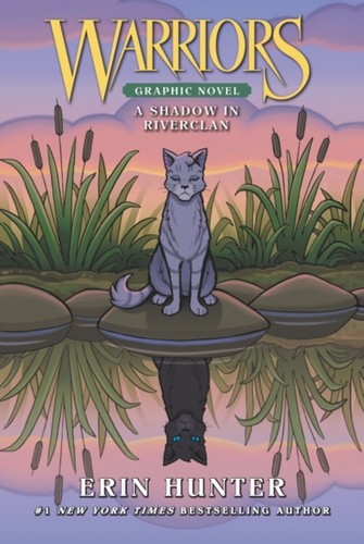 Warriors shadow in - warriors:,