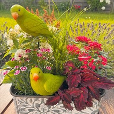 Deko Figuren - Papagei, Amazonen, Vogel, Vögel - 28 cm groß - Gartenfiguren