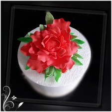 Fondantblumen für