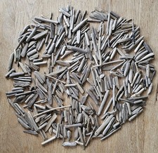 Viel Treibholz Schwemmholz