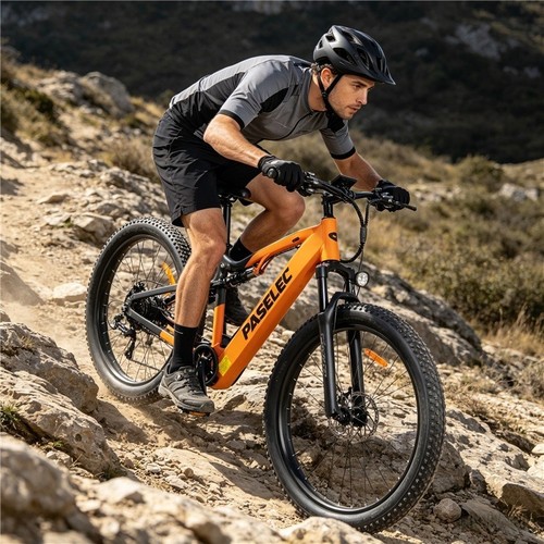 Mtb bike 1000w pedelec - mtb, e-bike