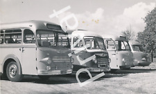 Foto Oldtimer Omnibus Bus Krauss Maffei Flotte M1.65