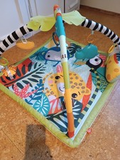 HM Fisher-Price Spielbogen Rainforest Spieldecke mehrfarbig Baby Erstausstattung