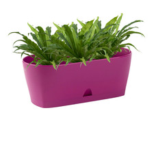 Engelland blumenkasten - engelland,