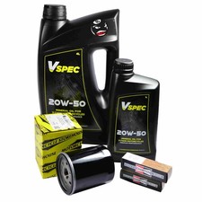 EIGHTBALL CUSTOM Vspec Öl