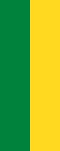Fahne flagge grün gelb - fahne,