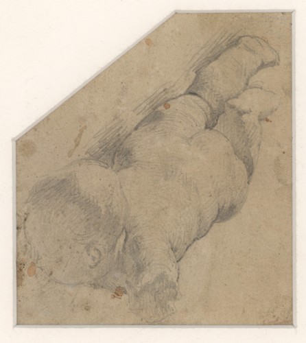 Studie putto baby liegend - studie,