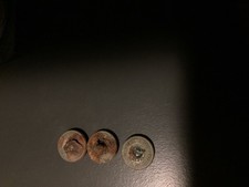 Bodenfund Deutsche Reichsbahn