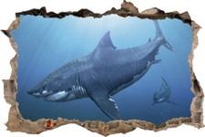 Wandtattoo Hai Unterwasser