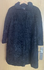 Breitschwanz Swakara Karakul