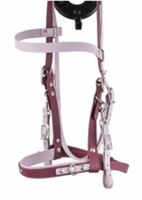 Tolles Kopfstück / Trense aus