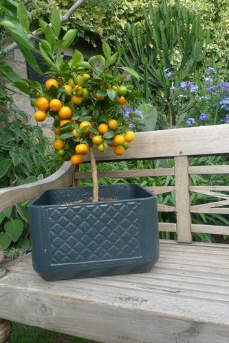 Vintage eternit planter - eternit,