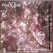 maXIon / CURVATURES (WHITE