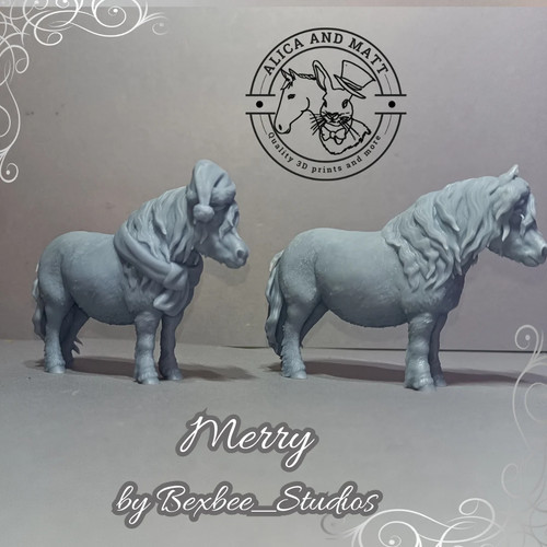 Shetland pony merry 2 - in,