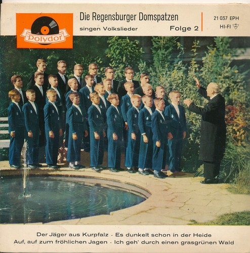 Die regensburger domspatzen - die,