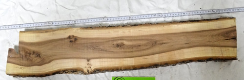 Ulme bohle brett baumkante - ulme,