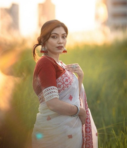 Bollywood sari bluse - bollywood,