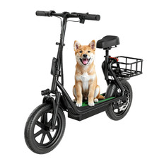 Electric Scooter with Seat for