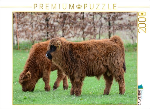 Calvendo puzzle the - puzzle,