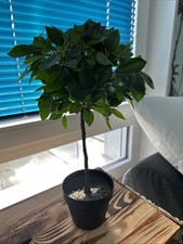 Kleiner Künstlicher Buchsbaum Stamm Grüne Blätter 42cm Topf 26cm Breit Lorbeer