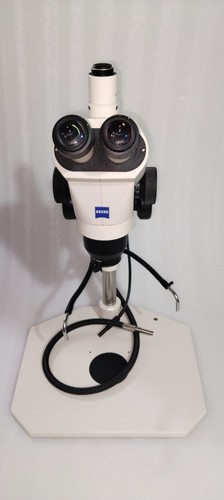 Carl zeiss stemi - carl,