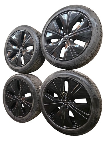 Original polestar winter - polestar,