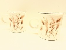 Midwinter Stonehenge WILD OATS