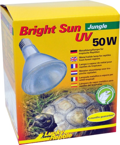 Bright sun jungle - bright, uv