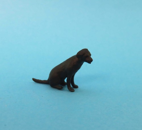 Schwarzer labrador - (, )